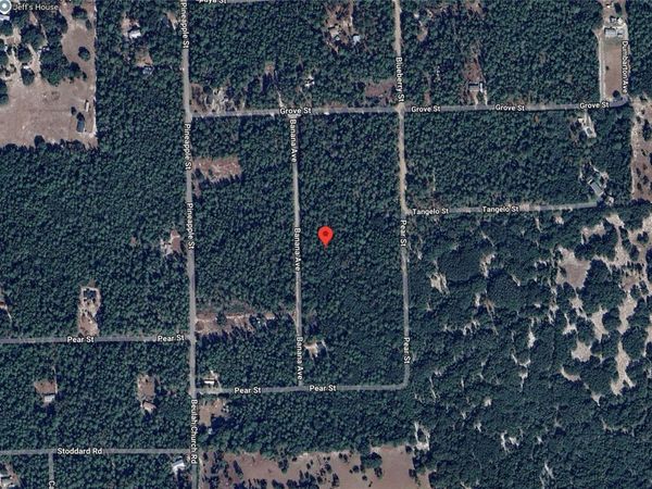 118 BANANA AVENUE, POMONA PARK, FL 32181