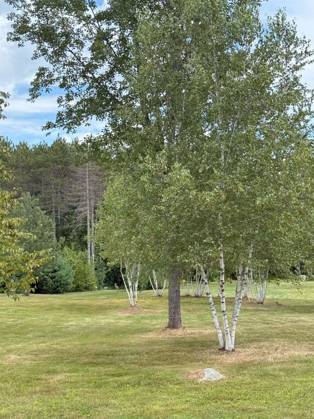 0 Warner Road, Unit 40, Warner, NH 03278 Main Photo