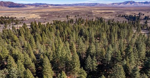 2850 22n03, Beckwourth, CA 00000 Photo