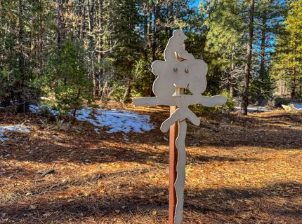 2850 22n03, Beckwourth, CA 00000 Photo
