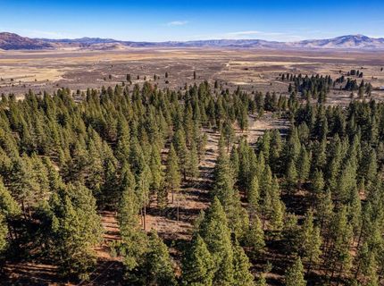 2850 22n03, Beckwourth, CA 00000 Photo