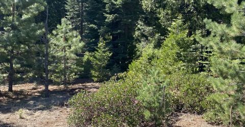 36 Winterwood Drive, Lake Almanor, CA 96137 Photo