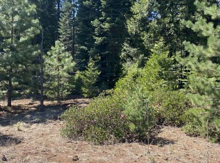 36 Winterwood Drive, Lake Almanor, CA 96137 Photo