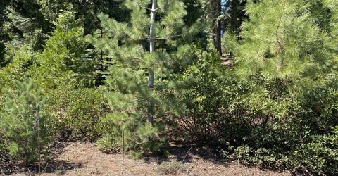 36 Winterwood Drive, Lake Almanor, CA 96137 Photo