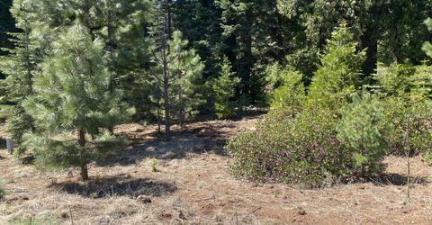 58 Winterwood Drive, Lake Almanor, CA 96137 Photo