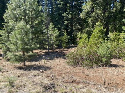 58 Winterwood Drive, Lake Almanor, CA 96137 Photo