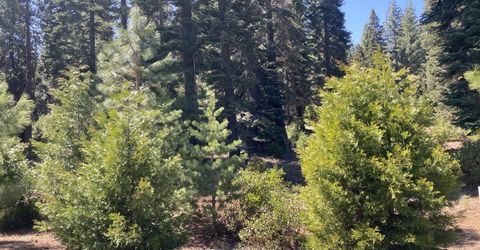 58 Winterwood Drive, Lake Almanor, CA 96137 Photo