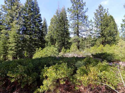 586 Bailey Creek Drive, Lake Almanor, CA 96137 Photo