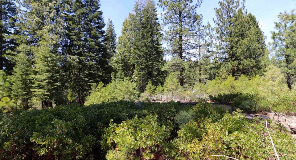 586 Bailey Creek Drive, Lake Almanor, CA 96137 Photo