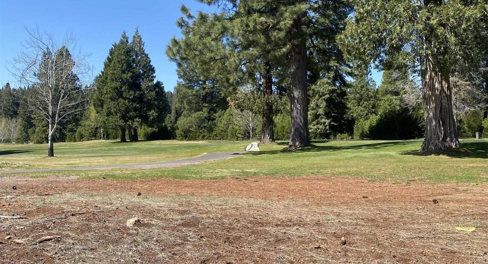 379 Terranova Drive, Lake Almanor, CA 96137 Photo