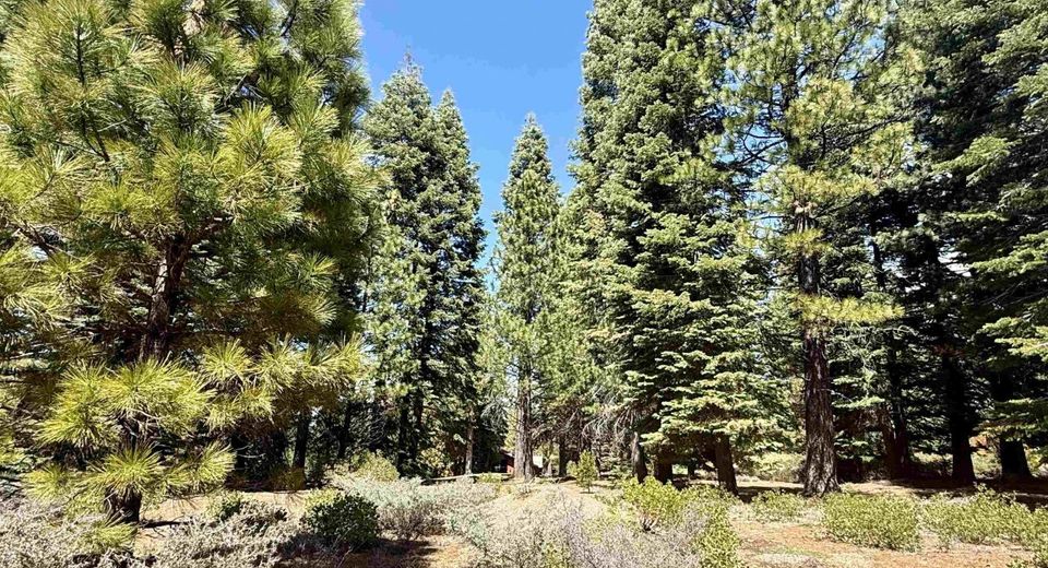 279 Gateway Drive, Lake Almanor, CA 96137 Photo