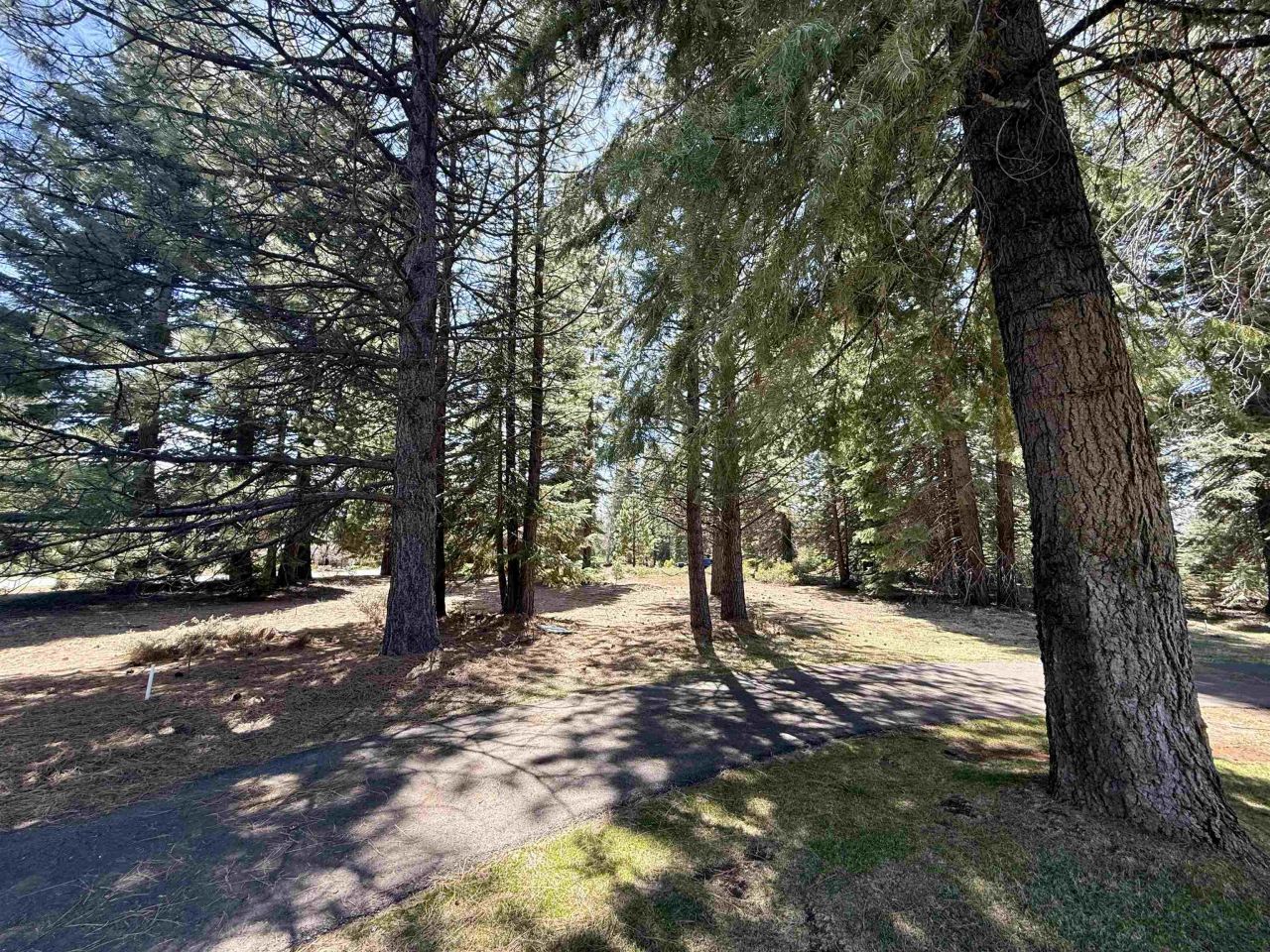 279 Gateway Drive, Lake Almanor, CA 96137 Photo