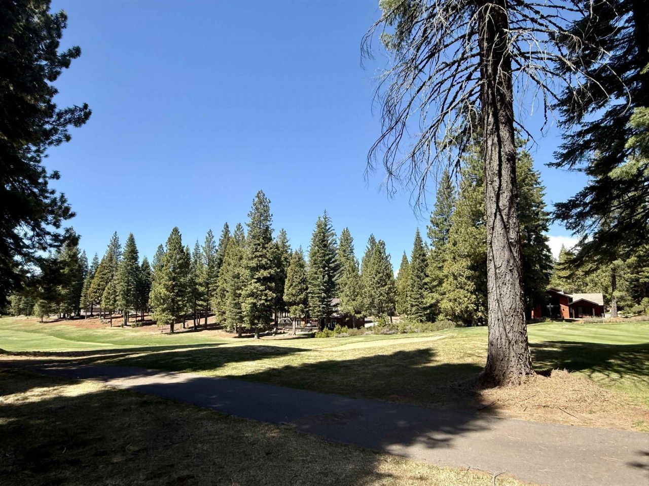 279 Gateway Drive, Lake Almanor, CA 96137 Photo