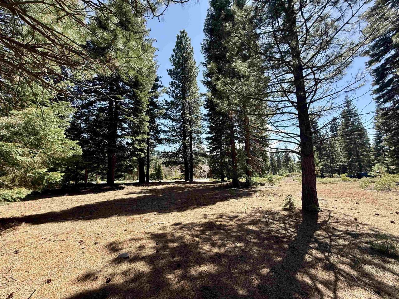 279 Gateway Drive, Lake Almanor, CA 96137 Photo