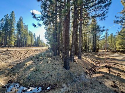71849 Carrie Court Trail, Delleker, CA 96122 Photo