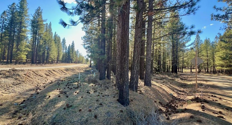 71849 Carrie Court Trail, Delleker, CA 96122 Photo