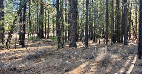 71849 Carrie Court Trail, Delleker, CA 96122 Photo