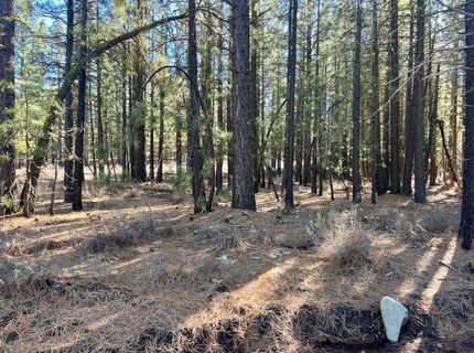71849 Carrie Court Trail, Delleker, CA 96122 Photo