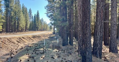 71849 Carrie Court Trail, Delleker, CA 96122 Photo