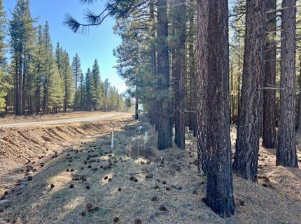 71849 Carrie Court Trail, Delleker, CA 96122 Photo