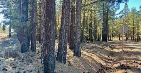 71849 Carrie Court Trail, Delleker, CA 96122 Photo