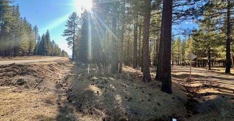 71849 Carrie Court Trail, Delleker, CA 96122 Photo