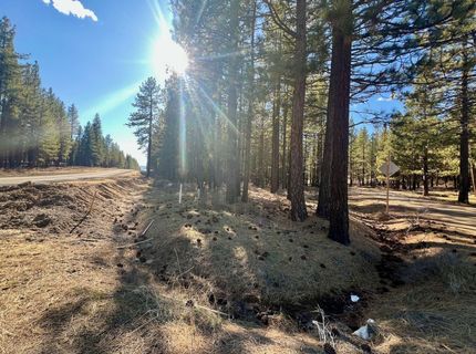 71849 Carrie Court Trail, Delleker, CA 96122 Photo