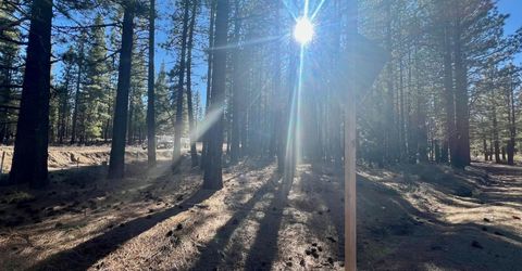 71849 Carrie Court Trail, Delleker, CA 96122 Photo