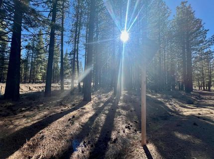71849 Carrie Court Trail, Delleker, CA 96122 Photo