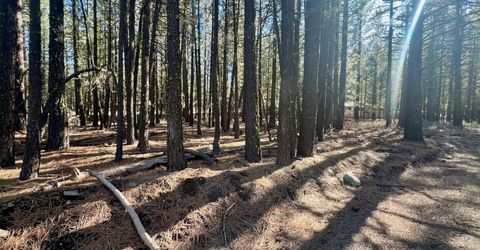 71849 Carrie Court Trail, Delleker, CA 96122 Photo