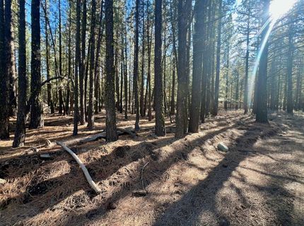 71849 Carrie Court Trail, Delleker, CA 96122 Photo