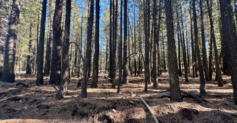 71849 Carrie Court Trail, Delleker, CA 96122 Photo