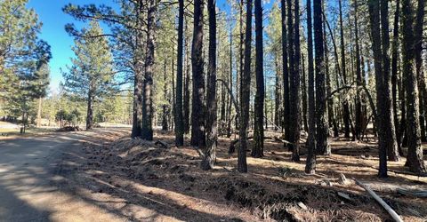 71849 Carrie Court Trail, Delleker, CA 96122 Photo