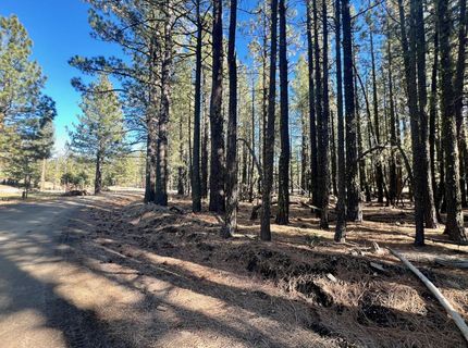 71849 Carrie Court Trail, Delleker, CA 96122 Photo
