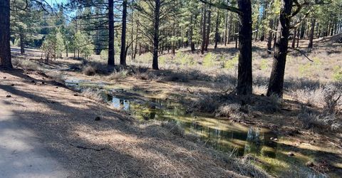 71849 Carrie Court Trail, Delleker, CA 96122 Photo