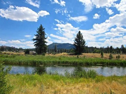 71849 Carrie Court Trail, Delleker, CA 96122 Photo