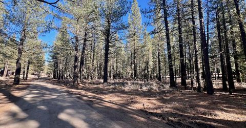 71849 Carrie Court Trail, Delleker, CA 96122 Photo