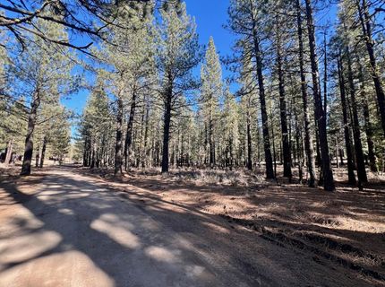 71849 Carrie Court Trail, Delleker, CA 96122 Photo