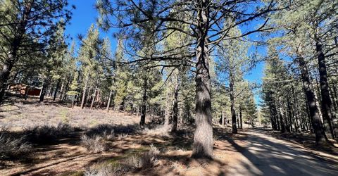 71849 Carrie Court Trail, Delleker, CA 96122 Photo