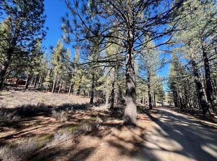 71849 Carrie Court Trail, Delleker, CA 96122 Photo