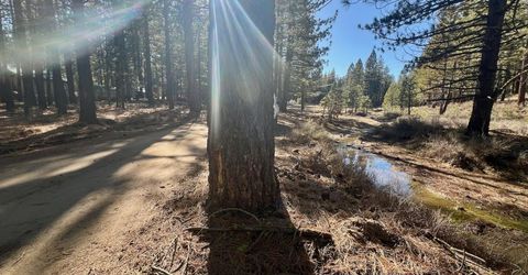 71849 Carrie Court Trail, Delleker, CA 96122 Photo