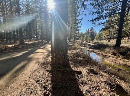 71849 Carrie Court Trail, Delleker, CA 96122 Photo