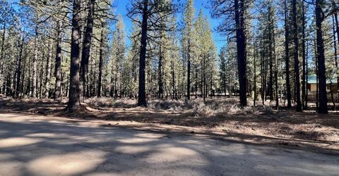 71849 Carrie Court Trail, Delleker, CA 96122 Photo