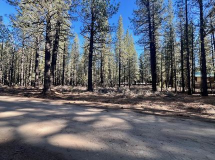 71849 Carrie Court Trail, Delleker, CA 96122 Photo