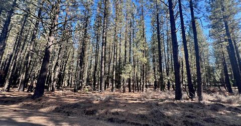 71849 Carrie Court Trail, Delleker, CA 96122 Photo