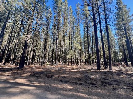 71849 Carrie Court Trail, Delleker, CA 96122 Photo