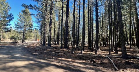 71849 Carrie Court Trail, Delleker, CA 96122 Photo