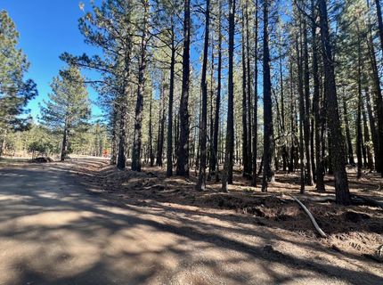 71849 Carrie Court Trail, Delleker, CA 96122 Photo