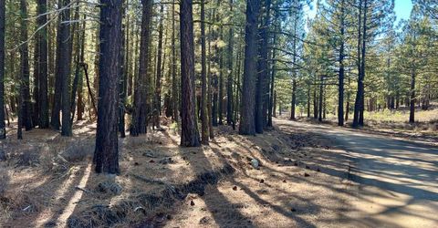 71849 Carrie Court Trail, Delleker, CA 96122 Photo