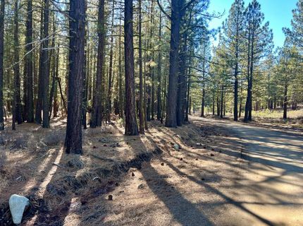 71849 Carrie Court Trail, Delleker, CA 96122 Photo